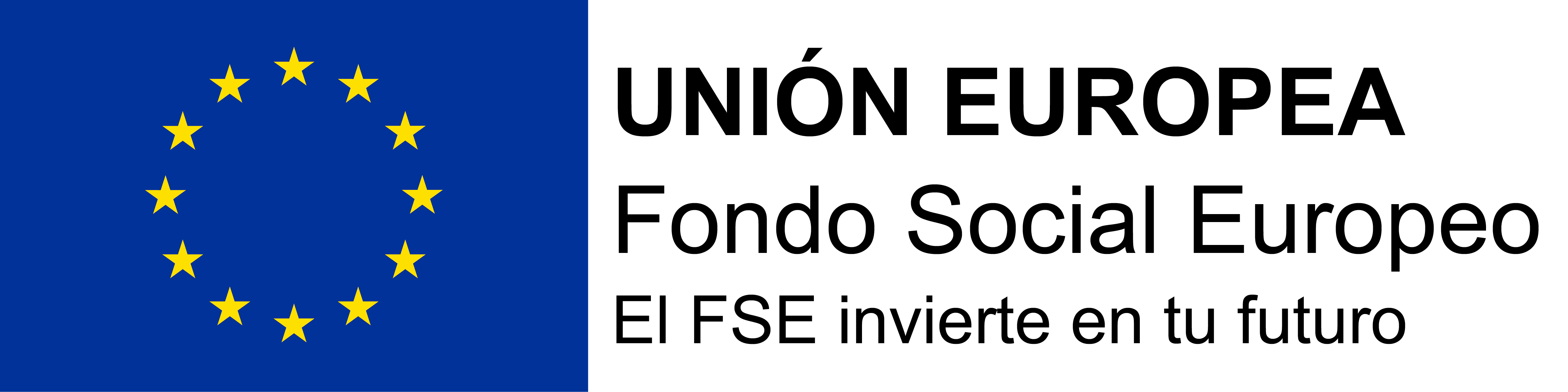 fse-castellano.png