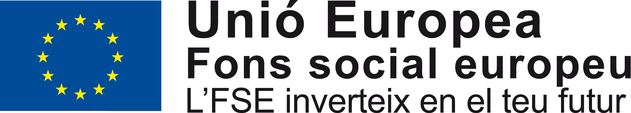 Logo FSE