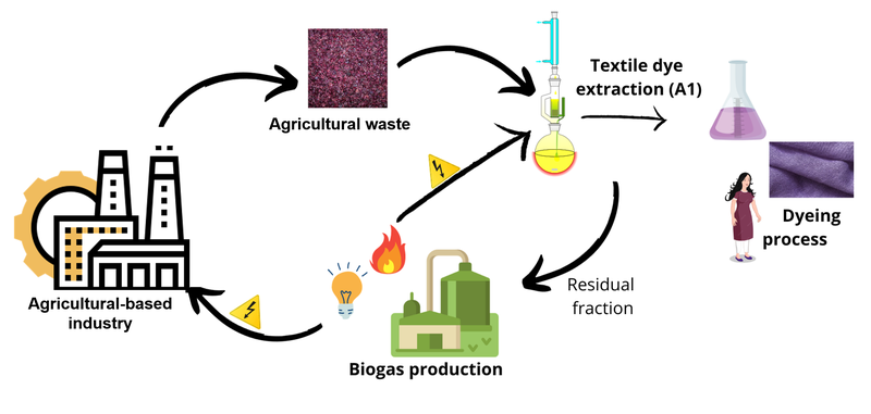 Boosting bioeconomy through different agroindustrial wastes valorisation into sustainable textile dyeing followed by bioenergy recovery MKT2024/0191_E