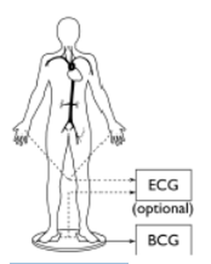 Cardiovascular health assessment from a  common electronic weighing scale. MKT2016/0159_H