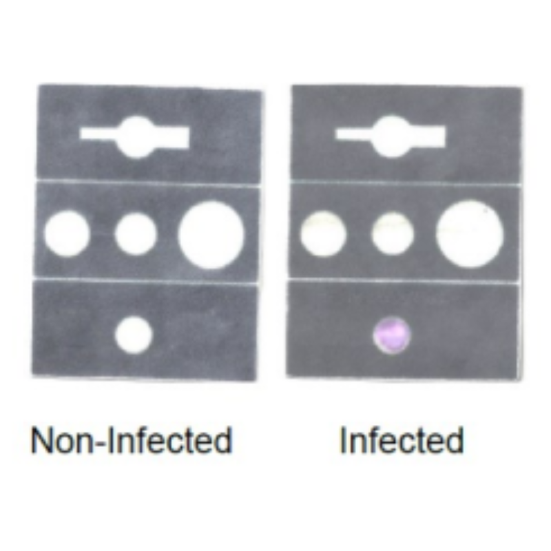 Foldable paper-based devide for detection of infection in body fluids. MKT2021/0181_H