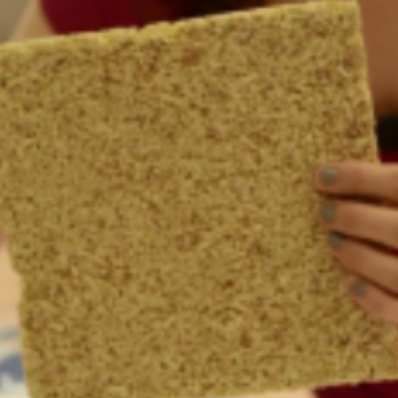 New bio-based insulation material from vegetal pith and natural binders. MKT2015/0156_B