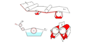 Enzymatic aqueous preparation for the surface functionalization of paper or cellulosic substrates